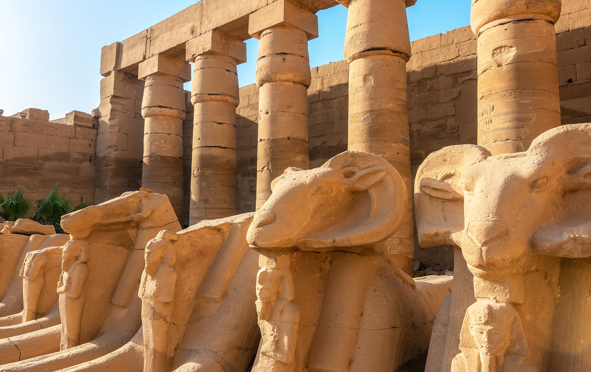 cairo and luxor tour
